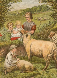 Little Lambkin